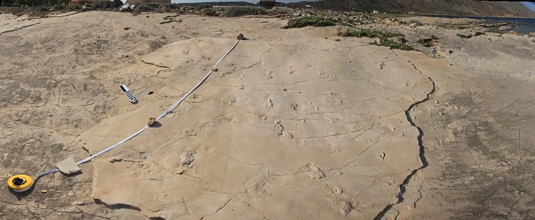 View of footprints discovered on Crete in 2002