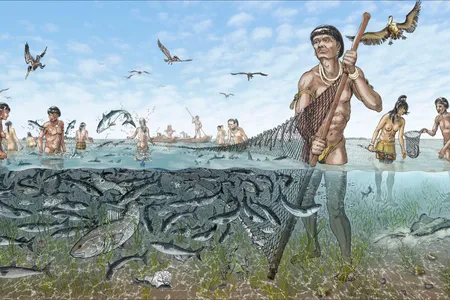 Once fish were captured in watercourts, they were likely harvested with nets or speared.