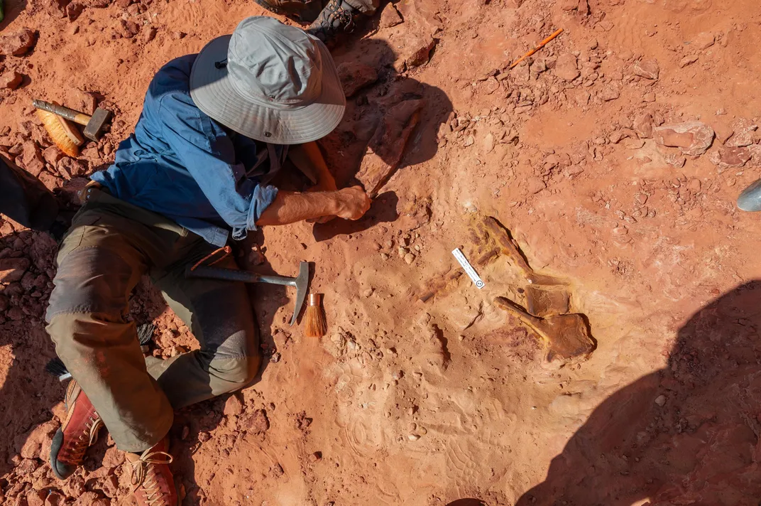 Groundbreaking Fossil Suggests Spinosaurus Is First Known Swimming Dinosaur