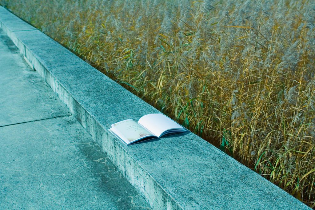 Discarded Book