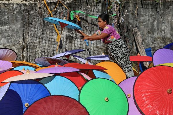 Pathein parasol thumbnail