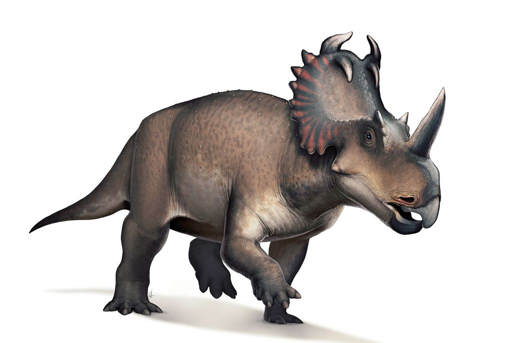 Centrosaurus