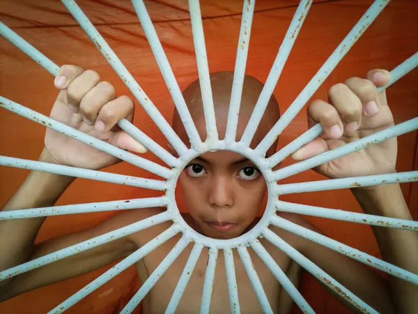 Curious Novice thumbnail