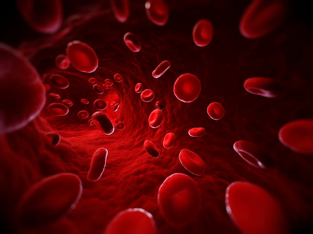 Computer illustration of red blood cells in a blood vessel