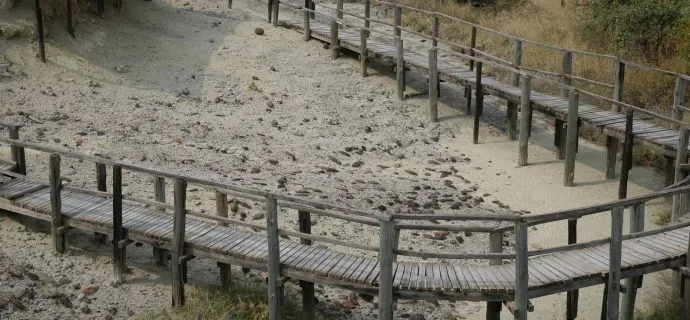 catwalk site.jpg