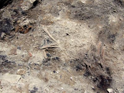The 1,800-year-old skeleton of a dog, which apparently perished in a blaze in Rome, was discovered during excavations for the metro system.