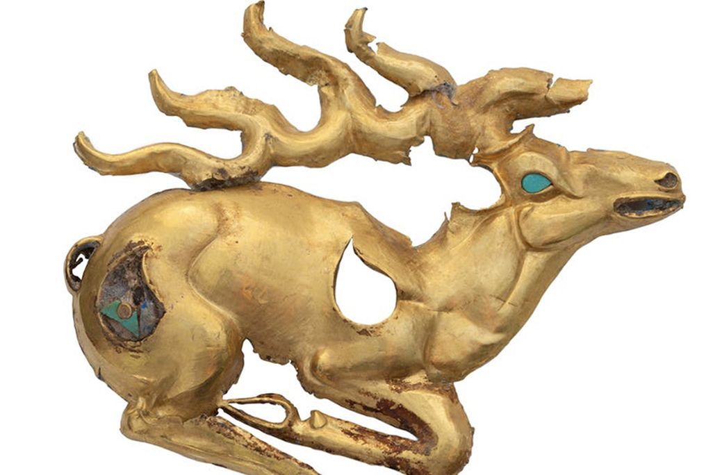 Stag