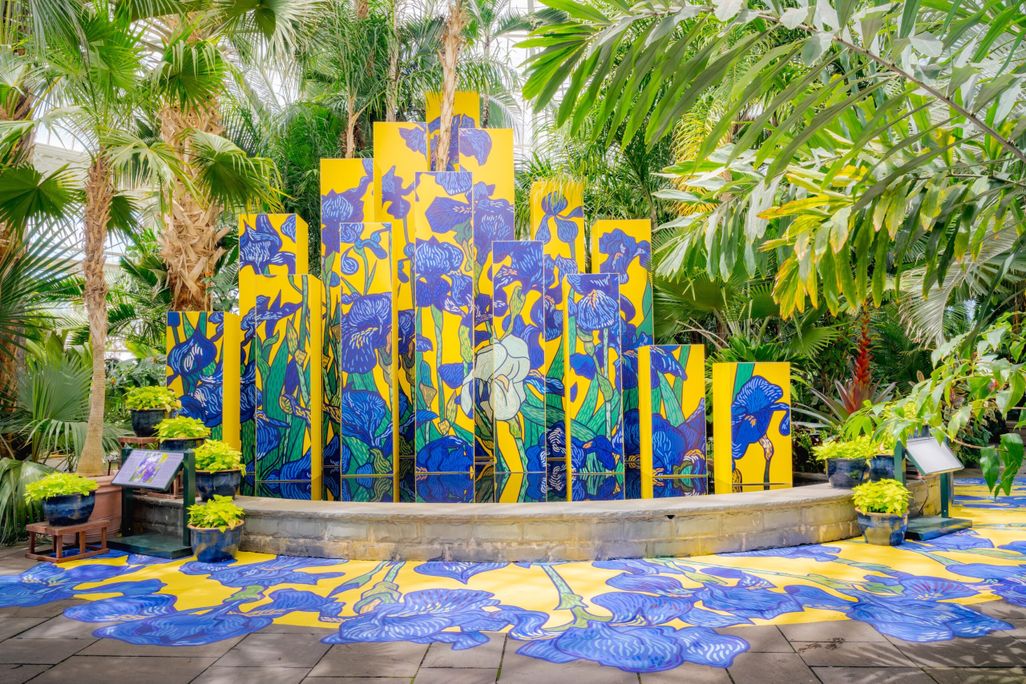 Irises on Yellow Columns, Graphic Rewilding