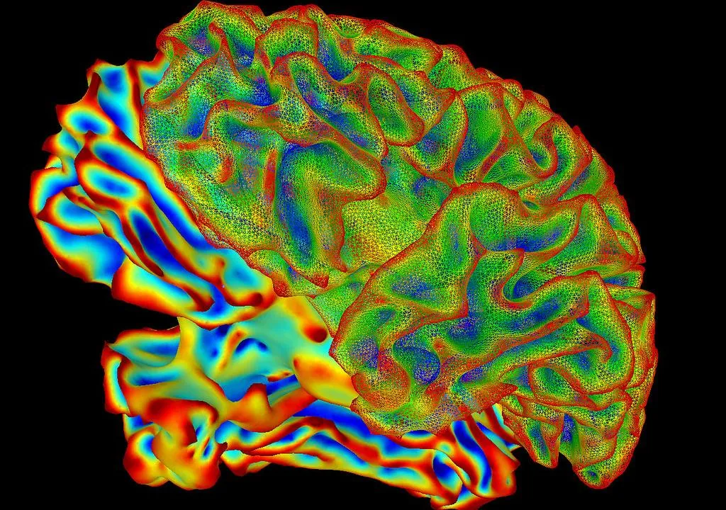 New Study Calls the Reliability of Brain Scan Research Into ...
