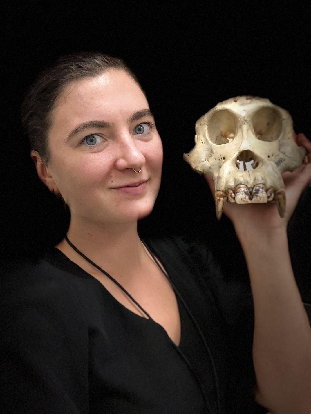 A person holds a great ape skull next to their head.