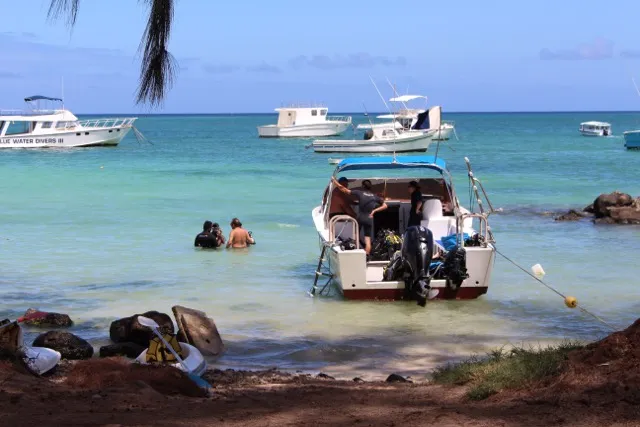 Why Is This Indian Ocean Island a Hot Spot for Shark Attacks?