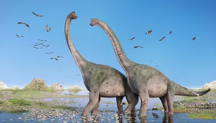 What Was the Biggest Dinosaur? Fragmentary Fossils Make It Hard to Tell