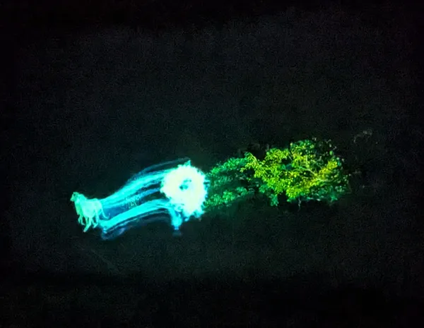 Forbidden forest thumbnail