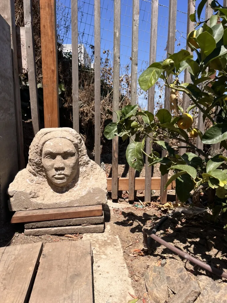 The bust of a woman sitting on the ground next to a bush by a fence