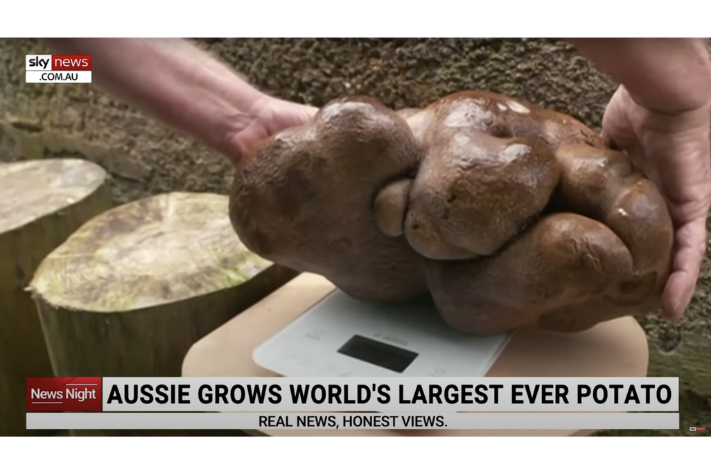 Doug the Ugly Potato via Sky News