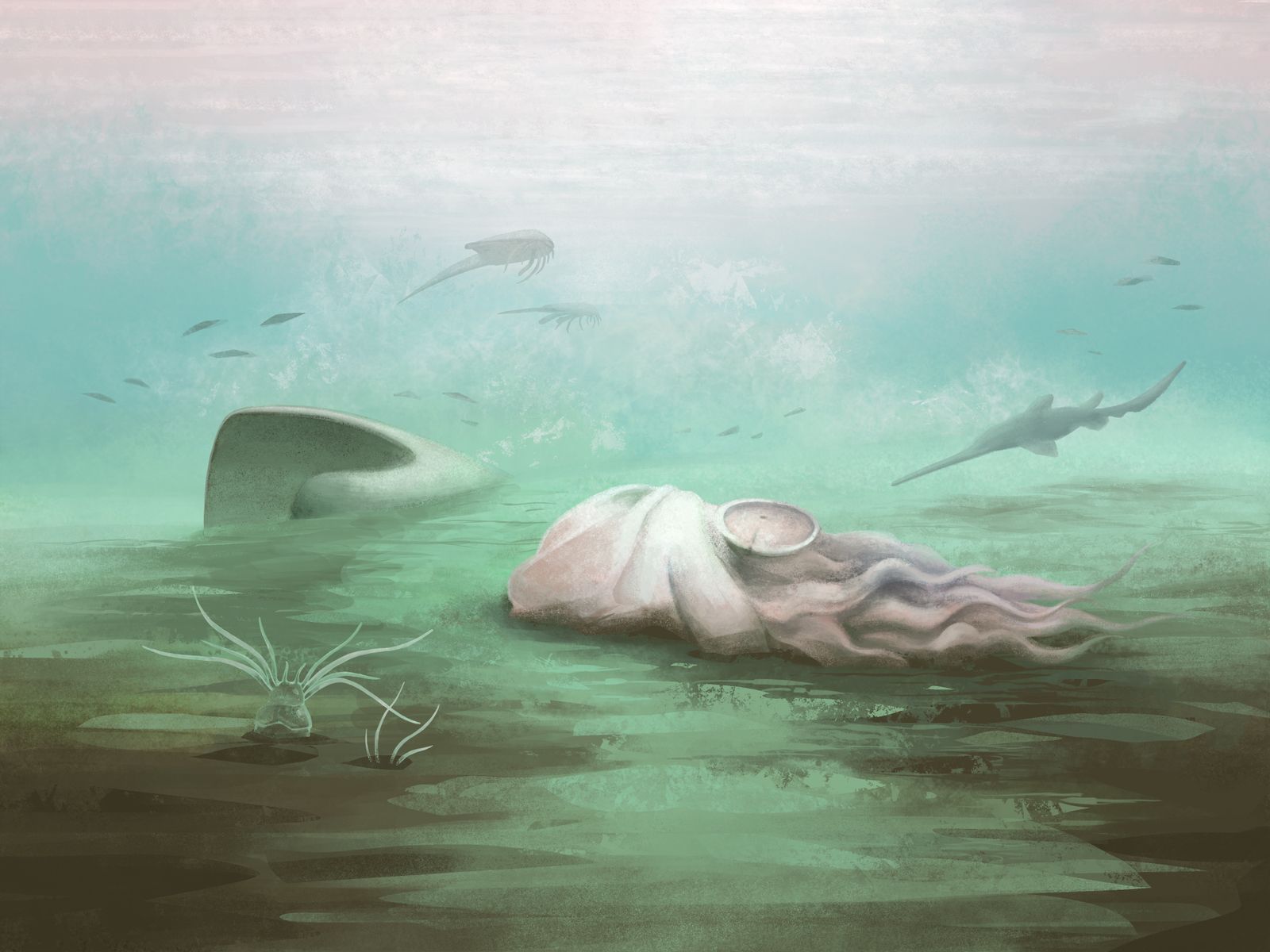 This Fossil Held the World Record for the Earliest Known Octopus. Turns ...