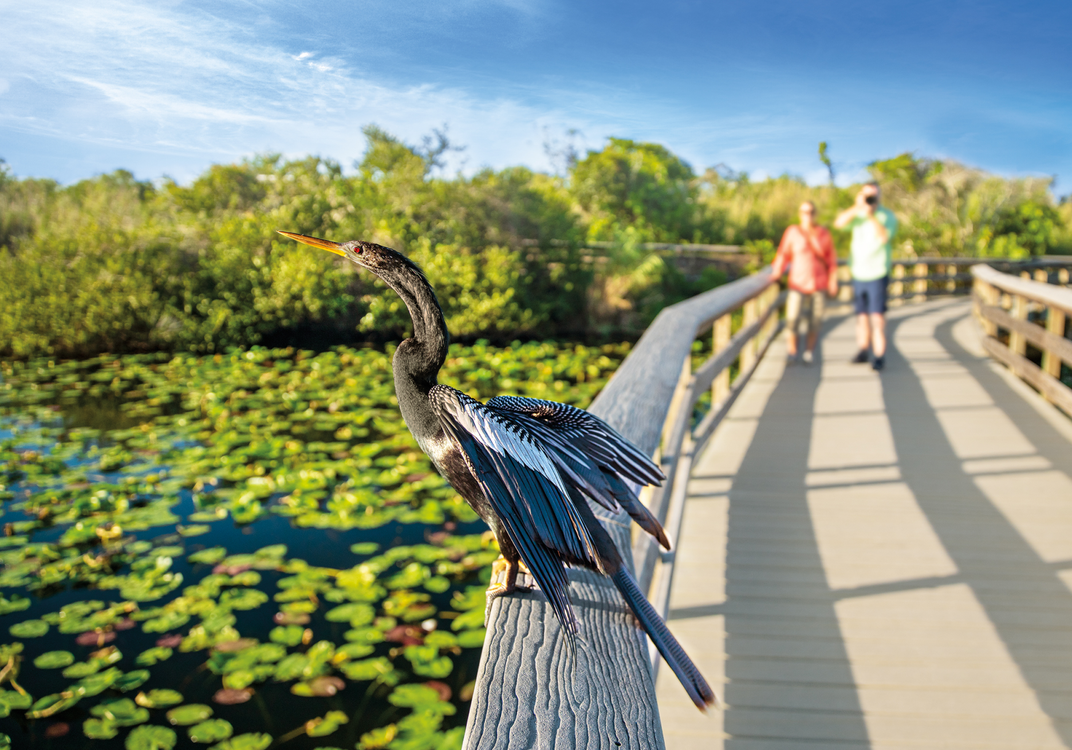 5 Reasons Why It’s the Perfect Time to Visit the Florida Keys