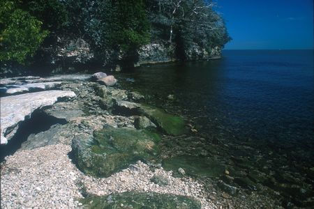 West Sister Island, Ohio's only wilderness area