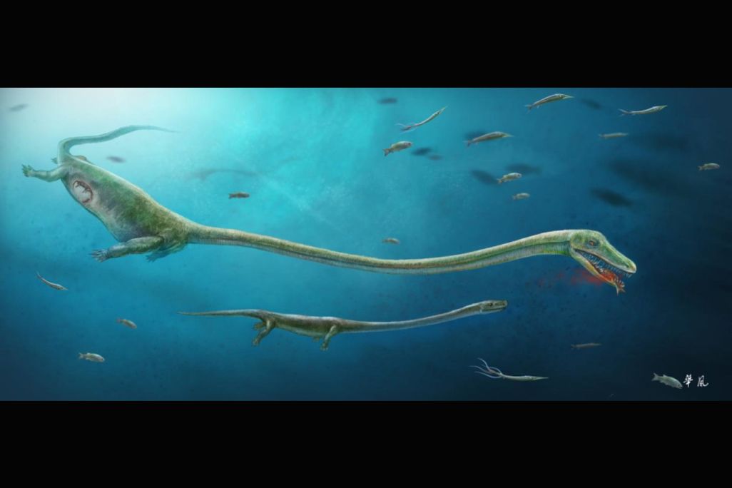 Dino with baby