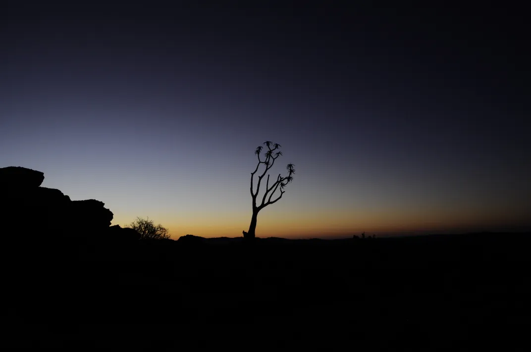 9 - The silhouette of a South African quiver tree dots the desert landscape.