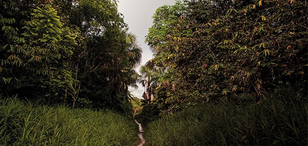 Lost-Tribes-of-the-Amazon-jungle-631.jpg