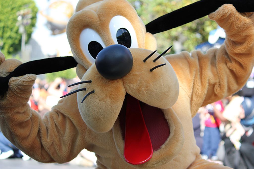Pluto Dog