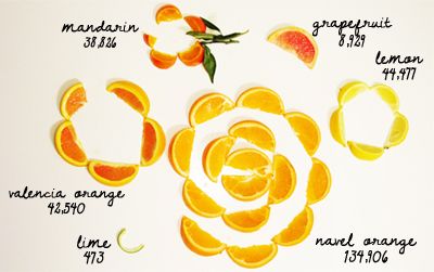 Visualization of California's statewide citrus production volumes.