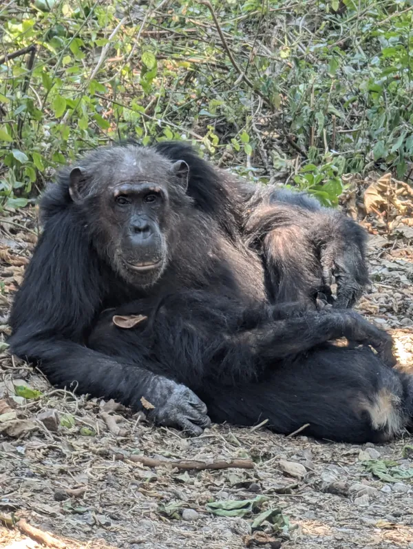 Mother and son thumbnail