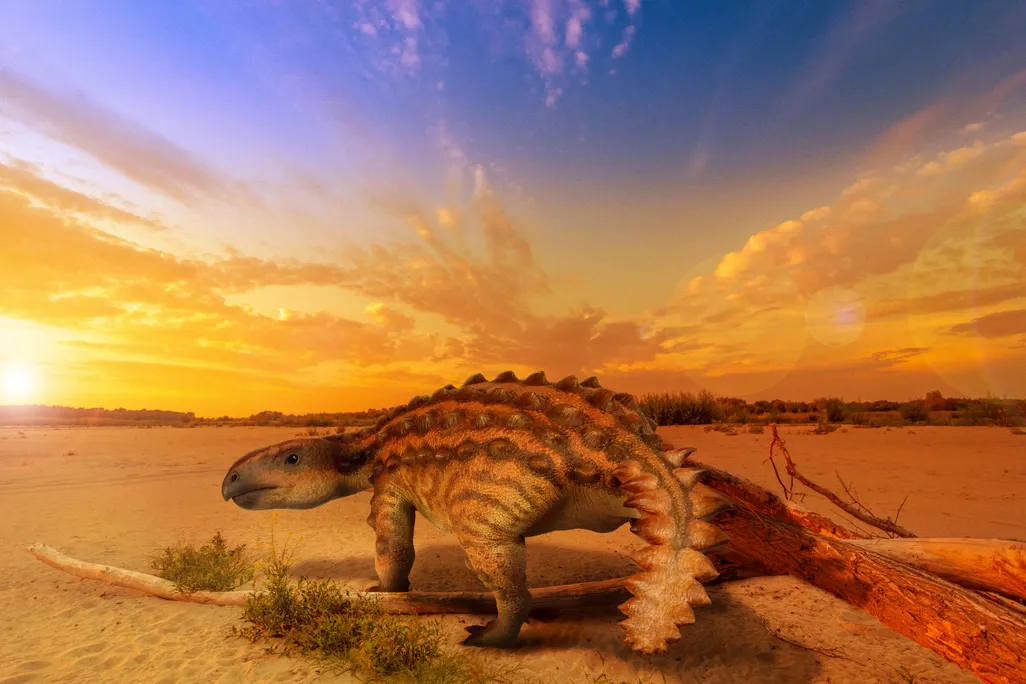 An artist's 3-D rendering of an ankylosaur