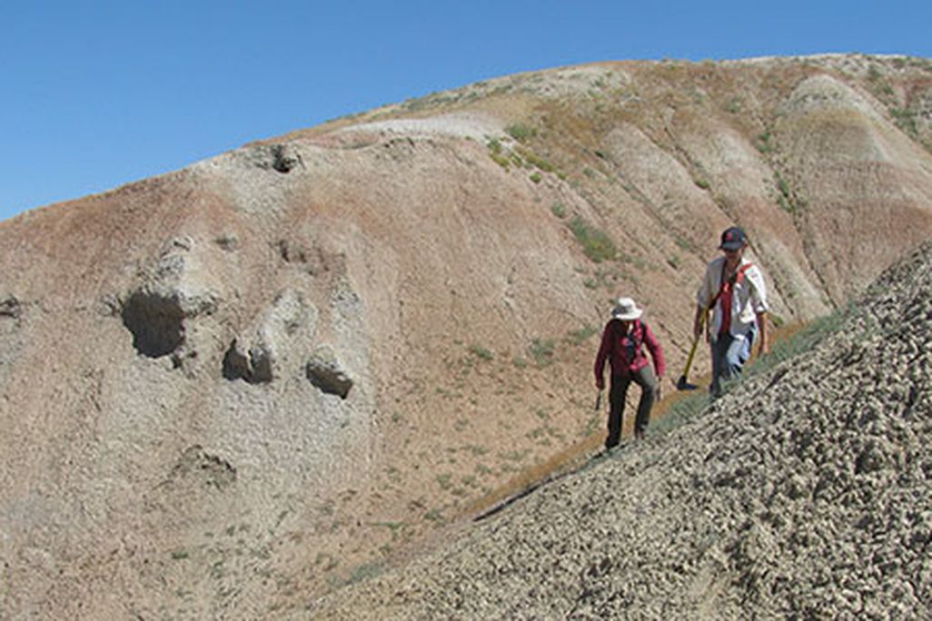 Researchers at Wyoming dig site