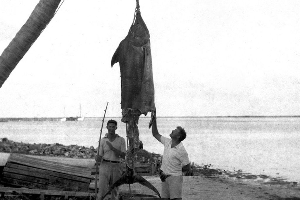 20120629095006hemingway.jpg
