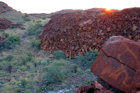 A mysterious bird etched in stone at the ancient aboriginal rock art site in Western Australia.