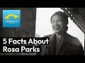 Preview thumbnail for video 'Five Surprising Facts About Rosa Parks