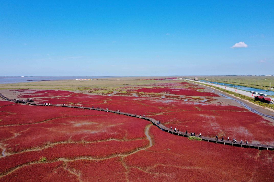 Panjin Red Beach