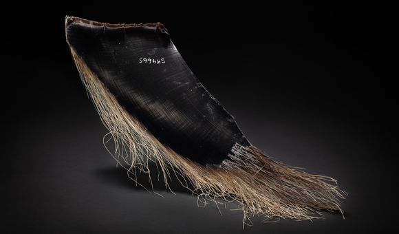 A black plate of whale baleen is lit up against a dark background with brown hair-like material coming from the bottom of the specimen.