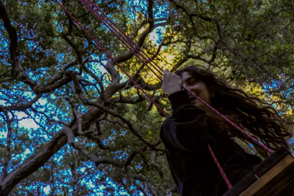 Tree Swing 1 thumbnail