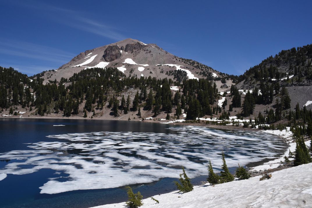 How Climate Change Will Transform the National Parks’ Iconic Animals and Plants 