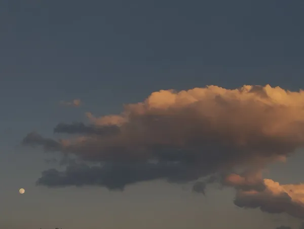 Contradictions thumbnail