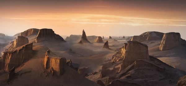 Sentinels on barren land thumbnail