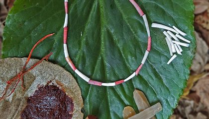 Archaeologists Find the First Red Paint Made From Plants