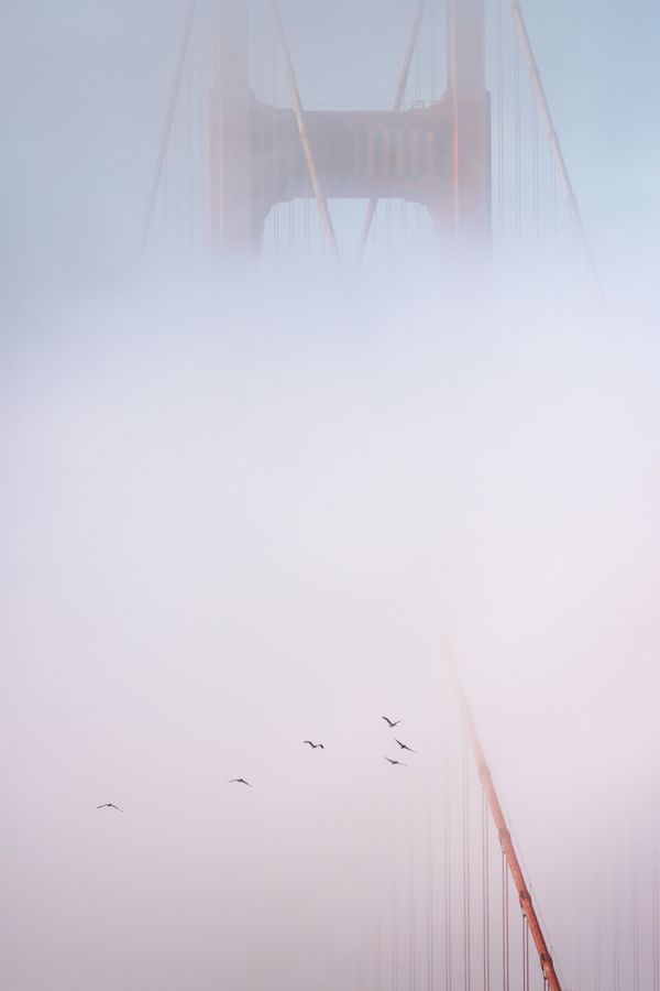 Golden Gate Bridge hidden in the fog of the bay thumbnail