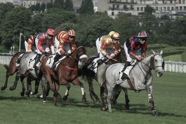 Horse Races in Paris thumbnail