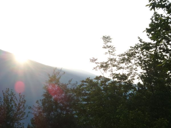 The Morning Sun thumbnail