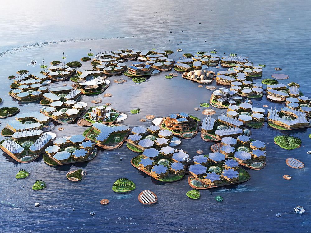 rendering of a floating city that looks like high-tech lily pads