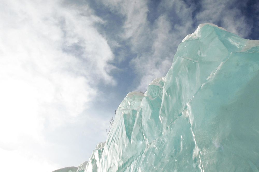 World Ice art Championships social.jpg
