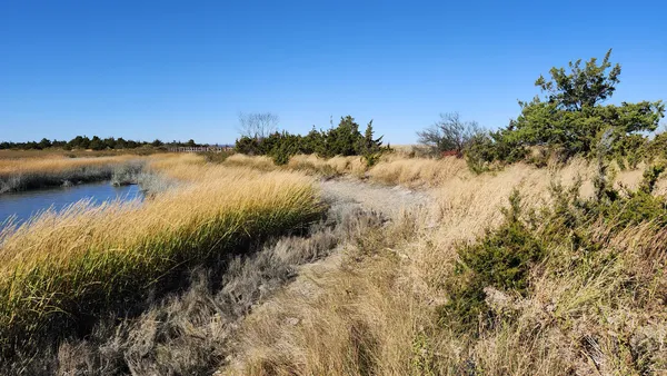 Path running along side a mud flat in Caumsett State Park. thumbnail