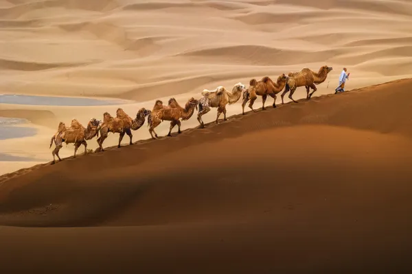 On the way thumbnail