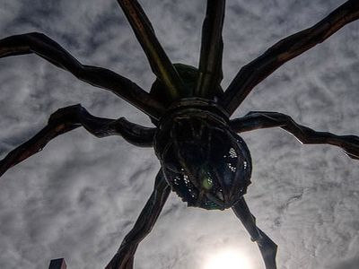 Spiders at 30,000 Feet: A Louise Bourgeouis sculpture outside the Guggenheim Museum Bilbao.
