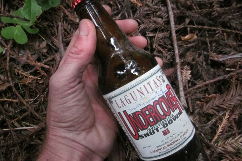 bottle of beer