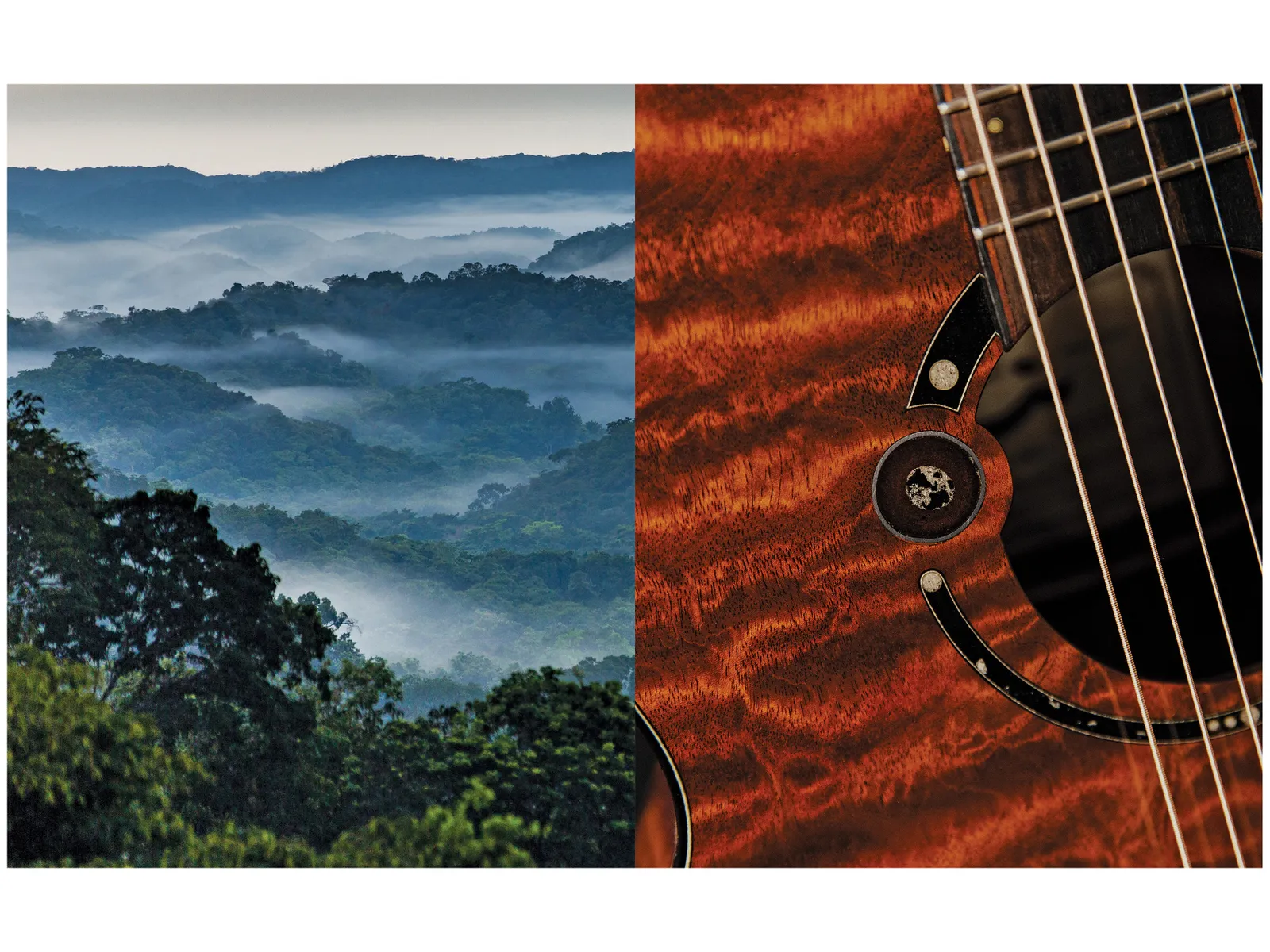 The TREE Mahogany Guitar